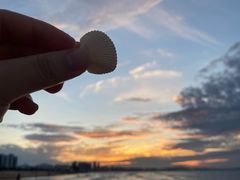 -烟台金沙滩海滨公园