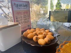 -蘑统田下·野生菌火锅