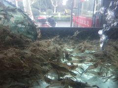 -全乐鱼馆·淳牌有机鱼直营店