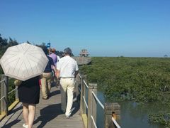 -北海金海湾红树林生态旅游区