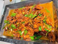 辣椒炒芦花鸡-邵年鸽(杨庄店)