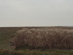 -鄱阳湖国家湿地公园