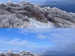 -秦岭风景区