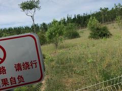 -西青郊野公园