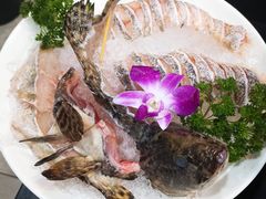 石斑鱼-港迹·鲜围煮海鲜火锅(湖州时代广场店)