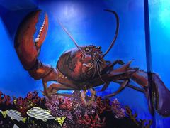 -船奇蒸汽海鲜·闽菜(八市海鲜总店)