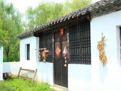 -溱湖国家湿地公园