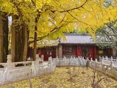 -潭柘寺景区