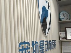 -宠物星动物医院·眼科·异宠·猫科(江南大道总院)