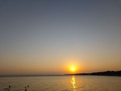 -贡湖湾湿地公园