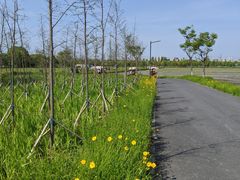 -嘉北郊野公园