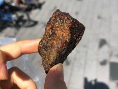 -都士牧人现烤牛肉干