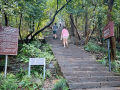 -紫金山山顶公园