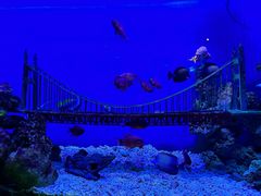 -太平洋海底世界