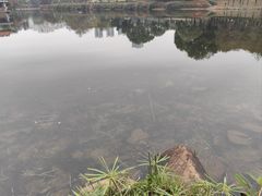 -深圳龙潭公园