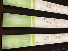 -中国茶叶博物馆(双峰馆区)