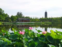 -西海子公园
