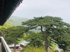 -妙峰山风景名胜区