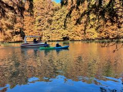 -上海海湾国家森林公园