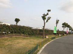 -明珠湖天鹅苑·农家菜馆