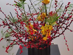 -云溪植物园
