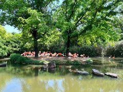 -上海野生动物园