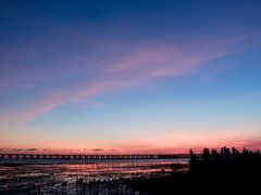 -宝安西湾红树林湿地公园