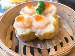 明虾蟹子烧卖-点都德(千灯湖环宇城店)