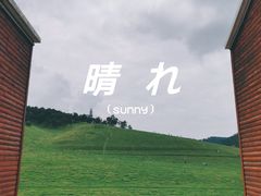 -关山草原