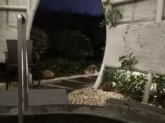 -凤翔首邑温泉度假村
