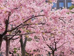 -新江湾城公园