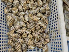 -岳各庄批发市场(西四环中路店)