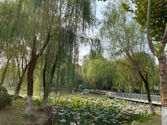 -后襄河公园