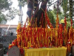 -大槐树寻根祭祖园