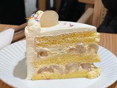 -猫里有甜