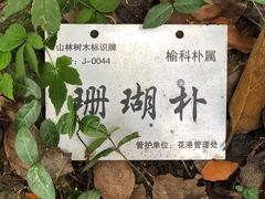 -九曜山