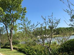 -昆山城市生态森林公园