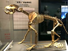 -北京周口店北京人遗址博物馆