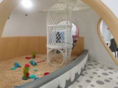 -蓝鲸奇亲子游泳俱乐部