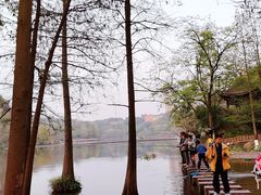 -重庆彩云湖湿地公园