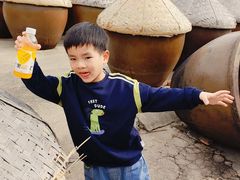 -苏州市吴中区光福窑上花果蜜饯厂