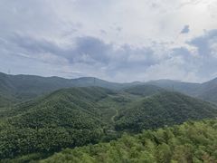 -宁波浙东大竹海景区