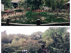 -望江楼公园