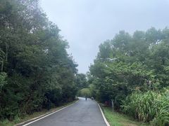 -青龙山国家森林公园