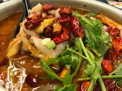 水煮牛柏叶-新辉港式茶餐厅(北栅店)