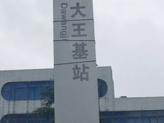 -大王基(地铁站)