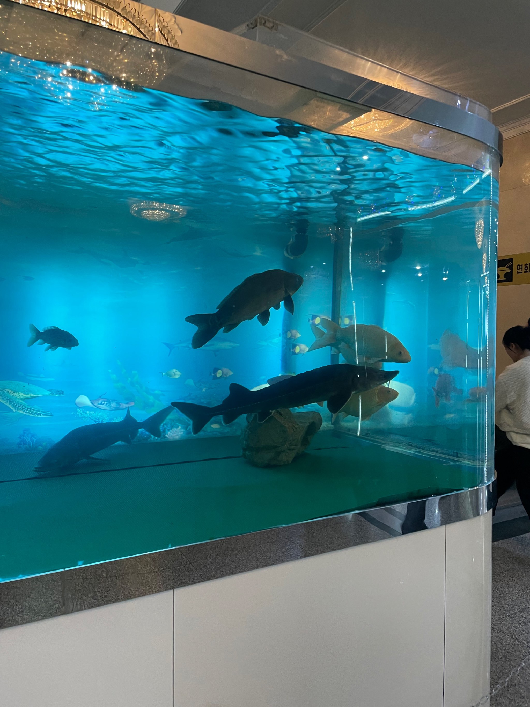 环境:整个玉流馆建在一个美丽的