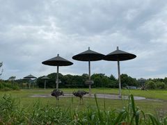 -宁波野生动物园