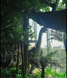 -恐龙探索乐园(磁器口店)