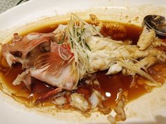 -锦粤宫·精致粤菜(深圳北站店)